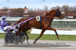 Dateiname=20251130_r01_010_R01_0022.jpg
Dateigröße=283KB
Abmessungen: 1000x667
hinzugefügt am: 01. Dezember 2025 20251130_r01_010_R01_0022.jpg