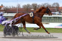 Dateiname=20251130_r01_011_R01_0023.jpg
Dateigröße=288KB
Abmessungen: 1000x667
hinzugefügt am: 01. Dezember 2025 20251130_r01_011_R01_0023.jpg