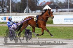 Dateiname=20251130_r01_012_R01_0025.jpg
Dateigröße=287KB
Abmessungen: 1000x667
hinzugefügt am: 01. Dezember 2025 20251130_r01_012_R01_0025.jpg