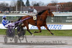 Dateiname=20251130_r01_015_R01_0032.jpg
Dateigröße=295KB
Abmessungen: 1000x667
hinzugefügt am: 01. Dezember 2025 20251130_r01_015_R01_0032.jpg