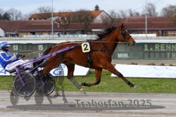 Dateiname=20251130_r01_016_R01_0034.jpg
Dateigröße=285KB
Abmessungen: 1000x667
hinzugefügt am: 01. Dezember 2025 20251130_r01_016_R01_0034.jpg