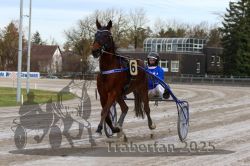 Dateiname=20251130_r01_018_R01_0040.jpg
Dateigröße=302KB
Abmessungen: 1000x667
hinzugefügt am: 01. Dezember 2025 20251130_r01_018_R01_0040.jpg