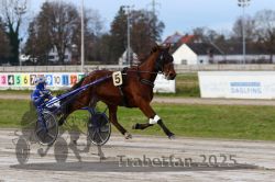 Dateiname=20251130_r01_020_R01_0046.jpg
Dateigröße=268KB
Abmessungen: 1000x667
hinzugefügt am: 01. Dezember 2025 20251130_r01_020_R01_0046.jpg