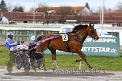 Dateiname=20251130_r01_067_R01_0156.jpg
Dateigröße=278KB
Abmessungen: 1000x667
hinzugefügt am: 01. Dezember 2025 20251130_r01_067_R01_0156.jpg