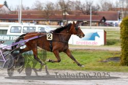 Dateiname=20251130_r01_068_R01_0158.jpg
Dateigröße=288KB
Abmessungen: 1000x667
hinzugefügt am: 01. Dezember 2025 20251130_r01_068_R01_0158.jpg