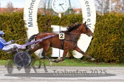 Dateiname=20251130_r01_070_R01_0162.jpg
Dateigröße=361KB
Abmessungen: 1000x667
hinzugefügt am: 01. Dezember 2025 20251130_r01_070_R01_0162.jpg