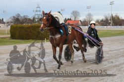 Dateiname=20251130_r01_081_E7D_0048.jpg
Dateigröße=259KB
Abmessungen: 1000x667
hinzugefügt am: 01. Dezember 2025 20251130_r01_081_E7D_0048.jpg