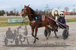 Dateiname=20251130_r01_083_E7D_0050.jpg
Dateigröße=304KB
Abmessungen: 1000x667
hinzugefügt am: 01. Dezember 2025 20251130_r01_083_E7D_0050.jpg