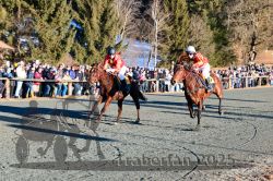 Dateiname=20251228_r06_054_R06_0126.jpg
Dateigröße=496KB
Abmessungen: 1000x667
hinzugefügt am: 30. Dezember 2025 20251228_r06_054_R06_0126.jpg