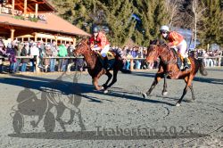 Dateiname=20251228_r06_055_R06_0128.jpg
Dateigröße=461KB
Abmessungen: 1000x667
hinzugefügt am: 30. Dezember 2025 20251228_r06_055_R06_0128.jpg