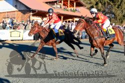 Dateiname=20251228_r06_057_R06_0130.jpg
Dateigröße=421KB
Abmessungen: 1000x667
hinzugefügt am: 30. Dezember 2025 20251228_r06_057_R06_0130.jpg