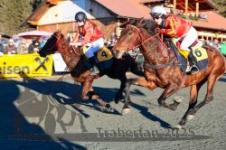 Dateiname=20251228_r06_058_R06_0131.jpg
Dateigröße=390KB
Abmessungen: 1000x667
hinzugefügt am: 30. Dezember 2025 20251228_r06_058_R06_0131.jpg