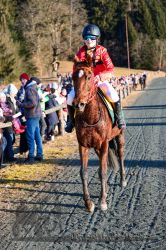 Dateiname=20251228_r06_061_CR5_0153.jpg
Dateigröße=457KB
Abmessungen: 667x1000
hinzugefügt am: 30. Dezember 2025 20251228_r06_061_CR5_0153.jpg