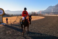 Dateiname=20251228_r06_067_CR5_0166.jpg
Dateigröße=359KB
Abmessungen: 1000x667
hinzugefügt am: 30. Dezember 2025 20251228_r06_067_CR5_0166.jpg