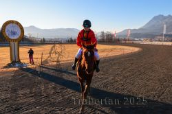 Dateiname=20251228_r06_068_CR5_0168.jpg
Dateigröße=372KB
Abmessungen: 1000x667
hinzugefügt am: 30. Dezember 2025 20251228_r06_068_CR5_0168.jpg