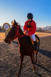 Dateiname=20251228_r06_070_CR5_0172.jpg
Dateigröße=362KB
Abmessungen: 667x1000
hinzugefügt am: 30. Dezember 2025 20251228_r06_070_CR5_0172.jpg