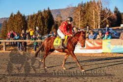 Dateiname=20251228_r06_072_CR5_0176.jpg
Dateigröße=433KB
Abmessungen: 1000x667
hinzugefügt am: 30. Dezember 2025 20251228_r06_072_CR5_0176.jpg