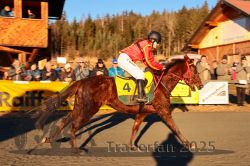 Dateiname=20251228_r06_073_CR5_0179.jpg
Dateigröße=352KB
Abmessungen: 1000x667
hinzugefügt am: 30. Dezember 2025 20251228_r06_073_CR5_0179.jpg