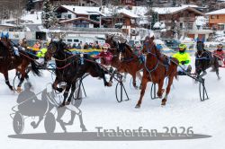 Dateiname=20260106_r06_052_R05_0228.jpg
Dateigröße=371KB
Abmessungen: 1000x667
hinzugefügt am: 08. Januar 2026 20260106_r06_052_R05_0228.jpg