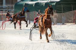 Dateiname=20260118_ja_001_IMG_0001.jpg
Dateigröße=680KB
Abmessungen: 1000x667
hinzugefügt am: 19. Januar 2026 20260118_ja_001_IMG_0001.jpg