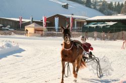 Dateiname=20260118_ja_002_IMG_0004.jpg
Dateigröße=700KB
Abmessungen: 1000x667
hinzugefügt am: 19. Januar 2026 20260118_ja_002_IMG_0004.jpg