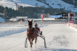 Dateiname=20260118_ja_005_IMG_0010.jpg
Dateigröße=621KB
Abmessungen: 1000x667
hinzugefügt am: 19. Januar 2026 20260118_ja_005_IMG_0010.jpg