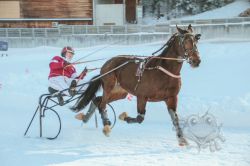 Dateiname=20260118_ja_007_IMG_0015.jpg
Dateigröße=469KB
Abmessungen: 1000x667
hinzugefügt am: 19. Januar 2026 20260118_ja_007_IMG_0015.jpg