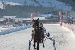 Dateiname=20260118_ja_011_IMG_0026.jpg
Dateigröße=565KB
Abmessungen: 1000x667
hinzugefügt am: 19. Januar 2026 20260118_ja_011_IMG_0026.jpg