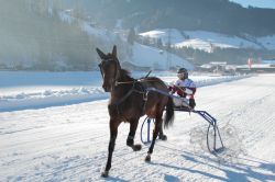 Dateiname=20260118_ja_012_IMG_0027.jpg
Dateigröße=598KB
Abmessungen: 1000x667
hinzugefügt am: 19. Januar 2026 20260118_ja_012_IMG_0027.jpg