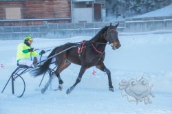 Dateiname=20260118_ja_013_IMG_0029.jpg
Dateigröße=454KB
Abmessungen: 1000x667
hinzugefügt am: 19. Januar 2026 20260118_ja_013_IMG_0029.jpg