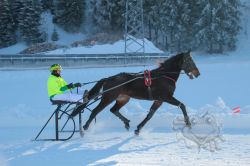 Dateiname=20260118_ja_014_IMG_0030.jpg
Dateigröße=536KB
Abmessungen: 1000x667
hinzugefügt am: 19. Januar 2026 20260118_ja_014_IMG_0030.jpg