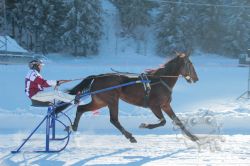 Dateiname=20260118_ja_015_IMG_0035.jpg
Dateigröße=534KB
Abmessungen: 1000x667
hinzugefügt am: 19. Januar 2026 20260118_ja_015_IMG_0035.jpg