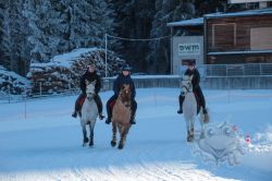 Dateiname=20260118_ja_018_IMG_0041.jpg
Dateigröße=623KB
Abmessungen: 1000x667
hinzugefügt am: 19. Januar 2026 20260118_ja_018_IMG_0041.jpg