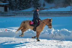 Dateiname=20260118_ja_019_IMG_0043.jpg
Dateigröße=595KB
Abmessungen: 1000x667
hinzugefügt am: 19. Januar 2026 20260118_ja_019_IMG_0043.jpg