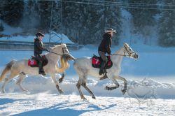 Dateiname=20260118_ja_020_IMG_0045.jpg
Dateigröße=583KB
Abmessungen: 1000x667
hinzugefügt am: 19. Januar 2026 20260118_ja_020_IMG_0045.jpg