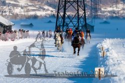 Dateiname=20260118_r03_019_R03_0048.jpg
Dateigröße=358KB
Abmessungen: 1000x667
hinzugefügt am: 19. Januar 2026 20260118_r03_019_R03_0048.jpg