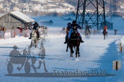 Dateiname=20260118_r03_044_R03_0094.jpg
Dateigröße=303KB
Abmessungen: 1000x667
hinzugefügt am: 19. Januar 2026 20260118_r03_044_R03_0094.jpg