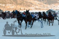 Dateiname=20260118_r04_037_R04_0029.jpg
Dateigröße=284KB
Abmessungen: 1000x667
hinzugefügt am: 19. Januar 2026 20260118_r04_037_R04_0029.jpg