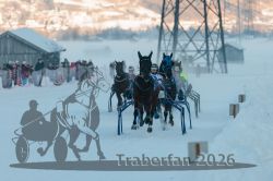 Dateiname=20260118_r04_058_R04_0096.jpg
Dateigröße=219KB
Abmessungen: 1000x667
hinzugefügt am: 19. Januar 2026 20260118_r04_058_R04_0096.jpg