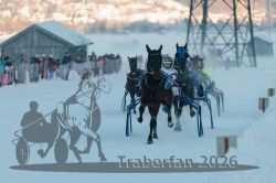 Dateiname=20260118_r04_059_R04_0099.jpg
Dateigröße=220KB
Abmessungen: 1000x667
hinzugefügt am: 19. Januar 2026 20260118_r04_059_R04_0099.jpg