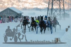 Dateiname=20260118_r04_074_R04_0137.jpg
Dateigröße=232KB
Abmessungen: 1000x667
hinzugefügt am: 19. Januar 2026 20260118_r04_074_R04_0137.jpg