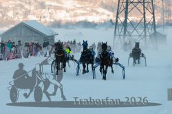 Dateiname=20260118_r04_092_R04_0173.jpg
Dateigröße=232KB
Abmessungen: 1000x667
hinzugefügt am: 19. Januar 2026 20260118_r04_092_R04_0173.jpg