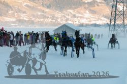 Dateiname=20260118_r04_096_R04_0181.jpg
Dateigröße=265KB
Abmessungen: 1000x667
hinzugefügt am: 19. Januar 2026 20260118_r04_096_R04_0181.jpg