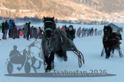 Dateiname=20260118_r05_029_R05_0077.jpg
Dateigröße=260KB
Abmessungen: 1000x667
hinzugefügt am: 19. Januar 2026 20260118_r05_029_R05_0077.jpg