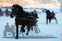 Dateiname=20260118_r05_033_R05_0086.jpg
Dateigröße=238KB
Abmessungen: 1000x667
hinzugefügt am: 19. Januar 2026 20260118_r05_033_R05_0086.jpg