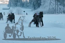 Dateiname=20260118_r05_041_R05_0113.jpg
Dateigröße=203KB
Abmessungen: 1000x667
hinzugefügt am: 19. Januar 2026 20260118_r05_041_R05_0113.jpg