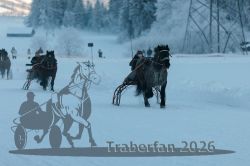 Dateiname=20260118_r05_042_R05_0114.jpg
Dateigröße=194KB
Abmessungen: 1000x667
hinzugefügt am: 19. Januar 2026 20260118_r05_042_R05_0114.jpg