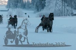 Dateiname=20260118_r05_043_R05_0116.jpg
Dateigröße=194KB
Abmessungen: 1000x667
hinzugefügt am: 19. Januar 2026 20260118_r05_043_R05_0116.jpg