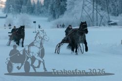 Dateiname=20260118_r05_044_R05_0118.jpg
Dateigröße=197KB
Abmessungen: 1000x667
hinzugefügt am: 19. Januar 2026 20260118_r05_044_R05_0118.jpg