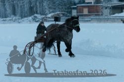 Dateiname=20260118_r05_047_R05_0123.jpg
Dateigröße=210KB
Abmessungen: 1000x667
hinzugefügt am: 19. Januar 2026 20260118_r05_047_R05_0123.jpg